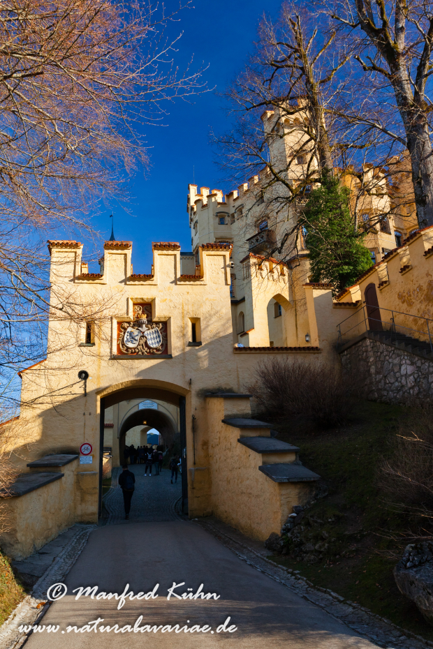 Hohenschwangau-Schloss (BAY_LKR_OAL)_0001