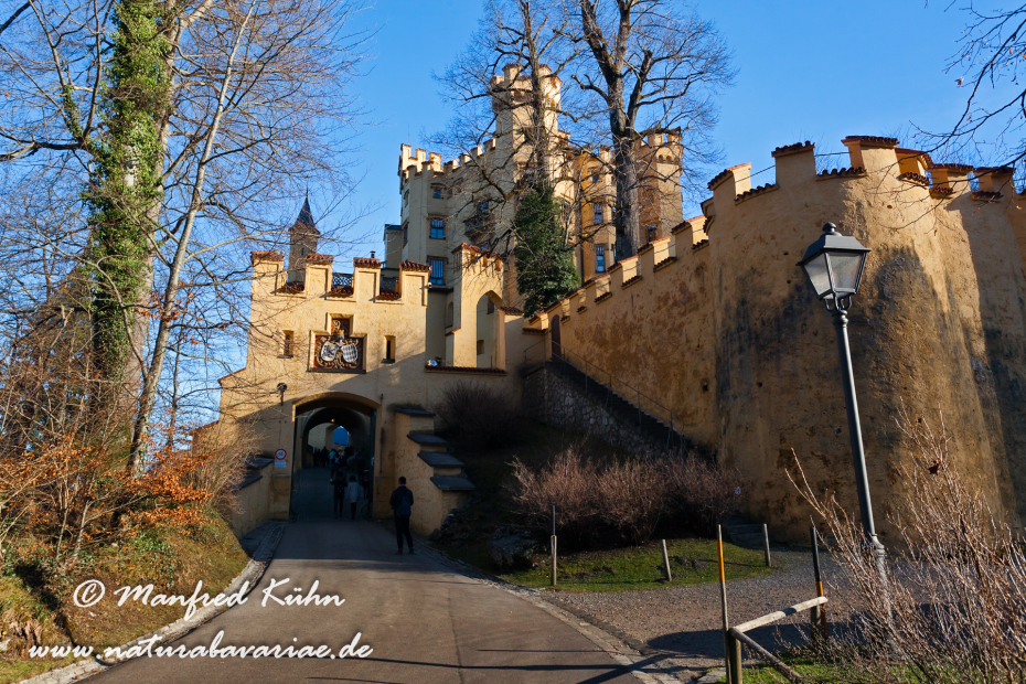 Hohenschwangau-Schloss (BAY_LKR_OAL)_0002