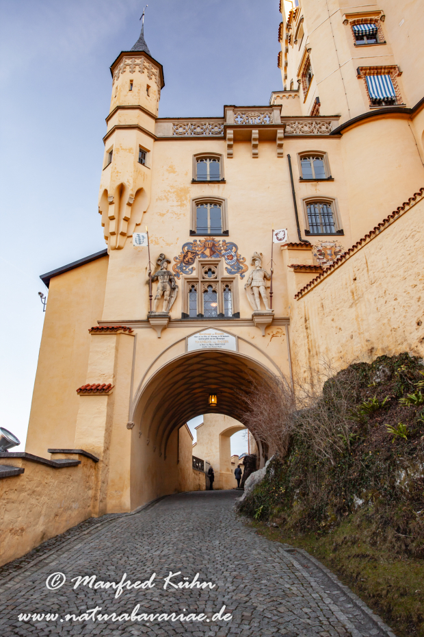 Hohenschwangau-Schloss (BAY_LKR_OAL)_0005