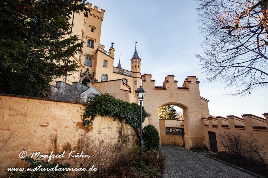 Hohenschwangau-Schloss (BAY_LKR_OAL)_0023
