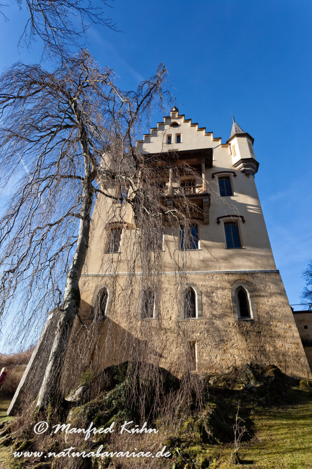 Hohenschwangau-Schloss (BAY_LKR_OAL)_0028