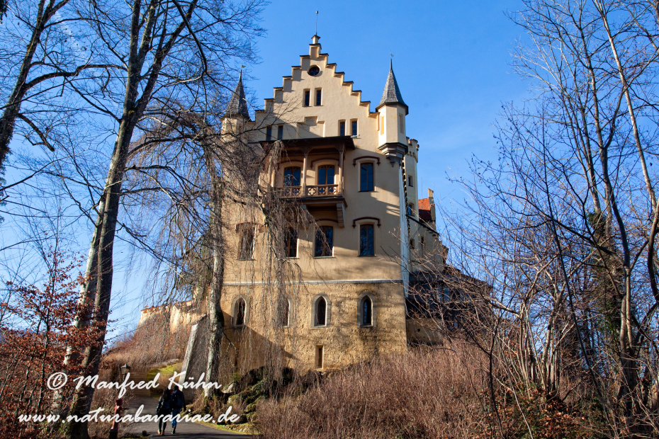 Hohenschwangau-Schloss (BAY_LKR_OAL)_0029