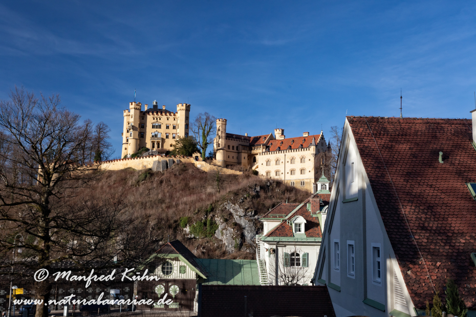 Hohenschwangau-Schloss (BAY_LKR_OAL)_0038