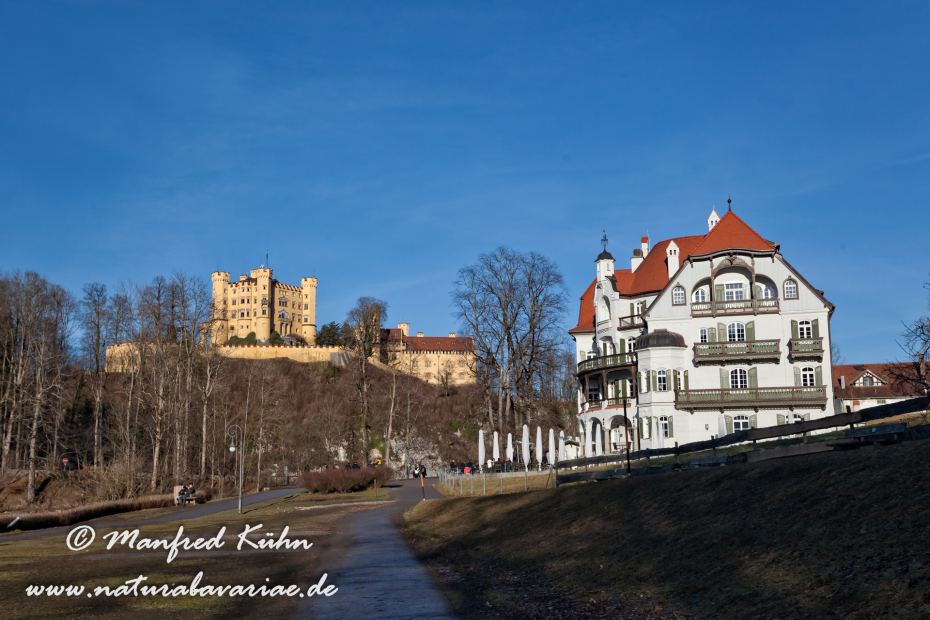 Hohenschwangau-Schloss (BAY_LKR_OAL)_0041