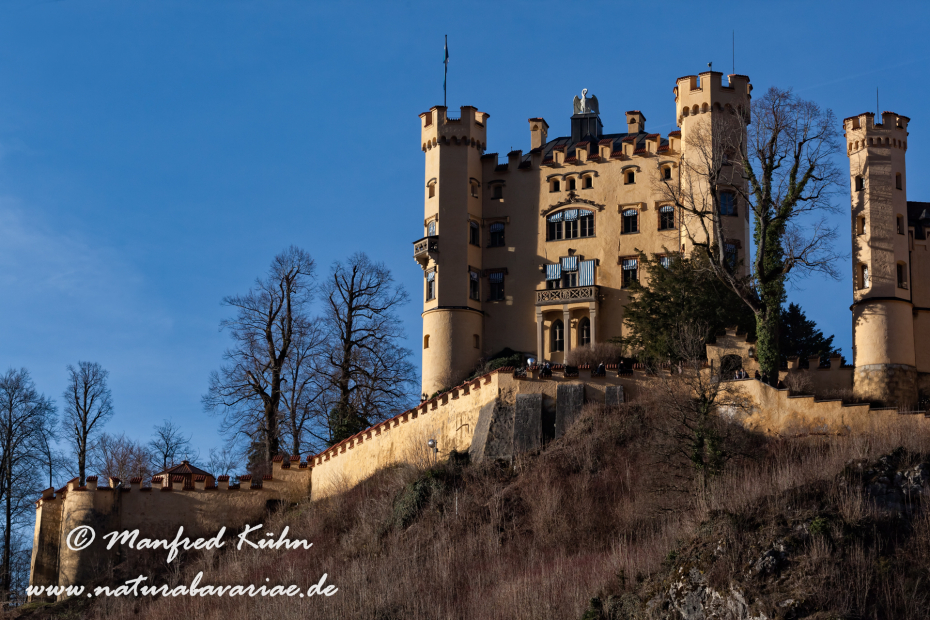 Hohenschwangau-Schloss (BAY_LKR_OAL)_0052