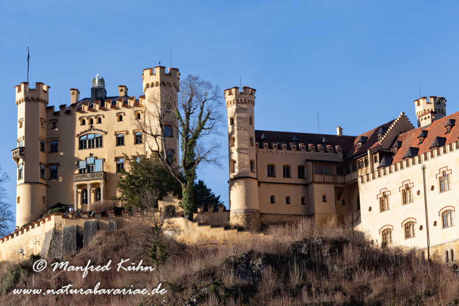 Hohenschwangau-Schloss (BAY_LKR_OAL)_0053
