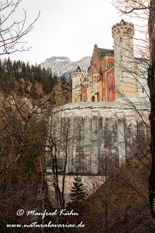 Neuschwanstein-Schloss (BAY_LKR_OAL)_0008