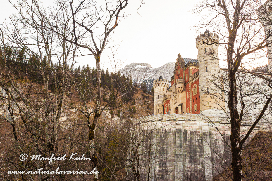 Neuschwanstein-Schloss (BAY_LKR_OAL)_0009