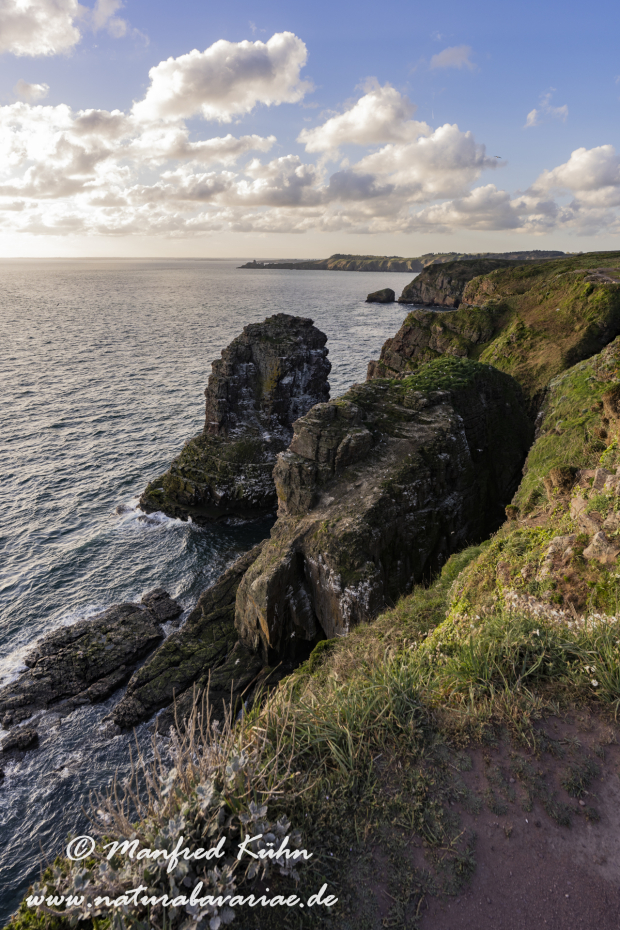 Bretagne (Frankreich)_0215