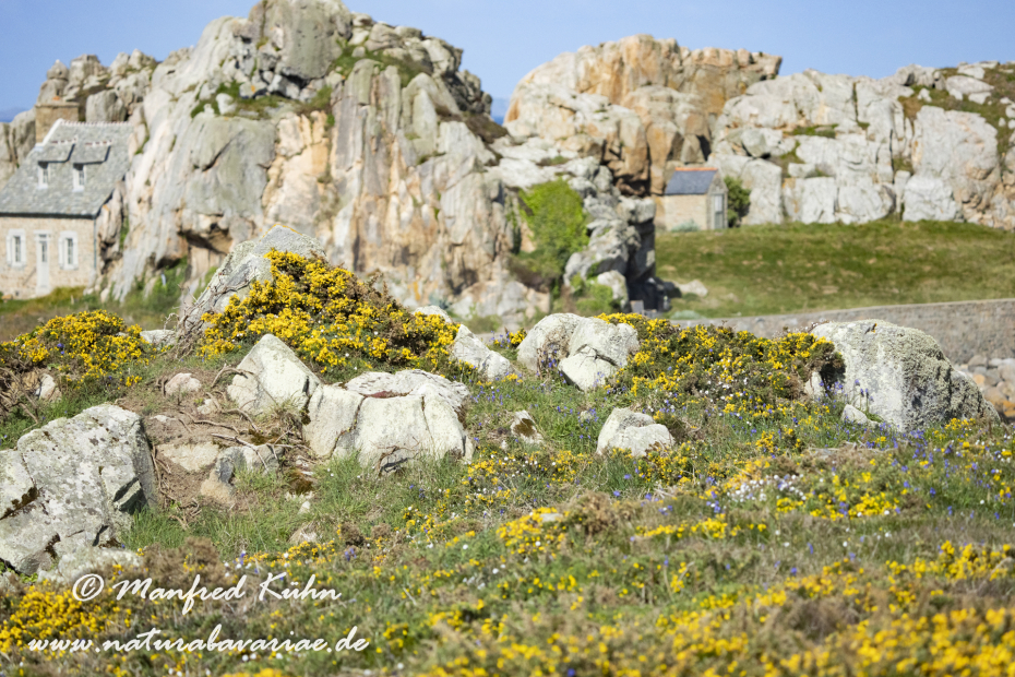 Bretagne (Frankreich)_0235