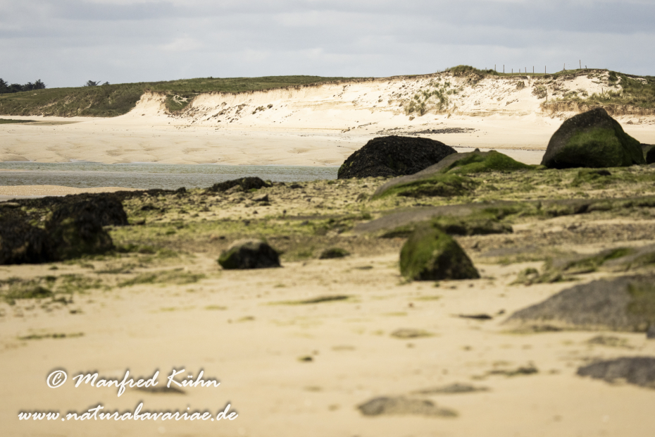 Bretagne (Frankreich)_0379