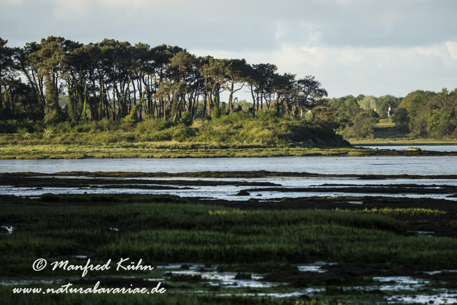 Bretagne (Frankreich)_0417