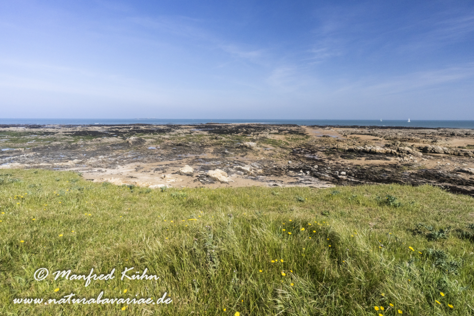 Bretagne (Frankreich)_0443