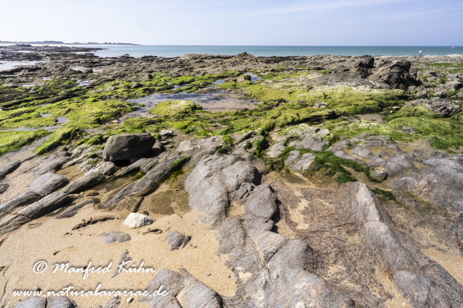 Bretagne (Frankreich)_0449