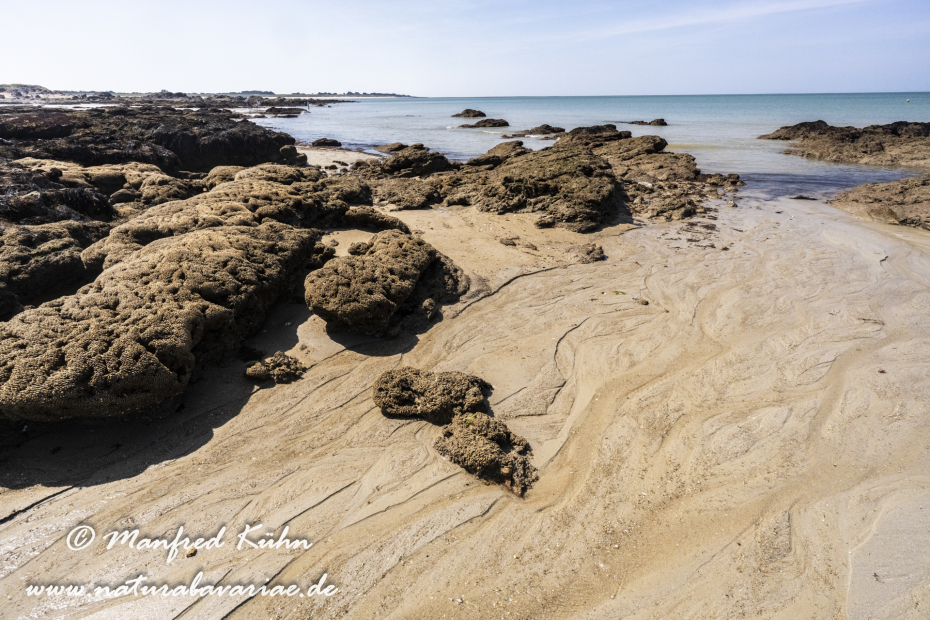 Bretagne (Frankreich)_0456