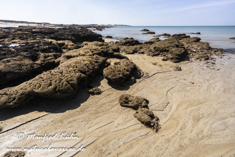 Bretagne (Frankreich)_0457