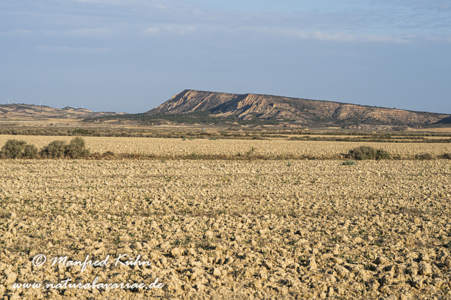 Navarra Bardenas Reales (Spanien)_0002