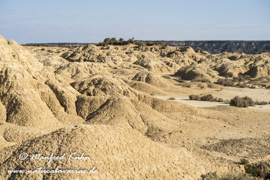 Navarra Bardenas Reales (Spanien)_0029