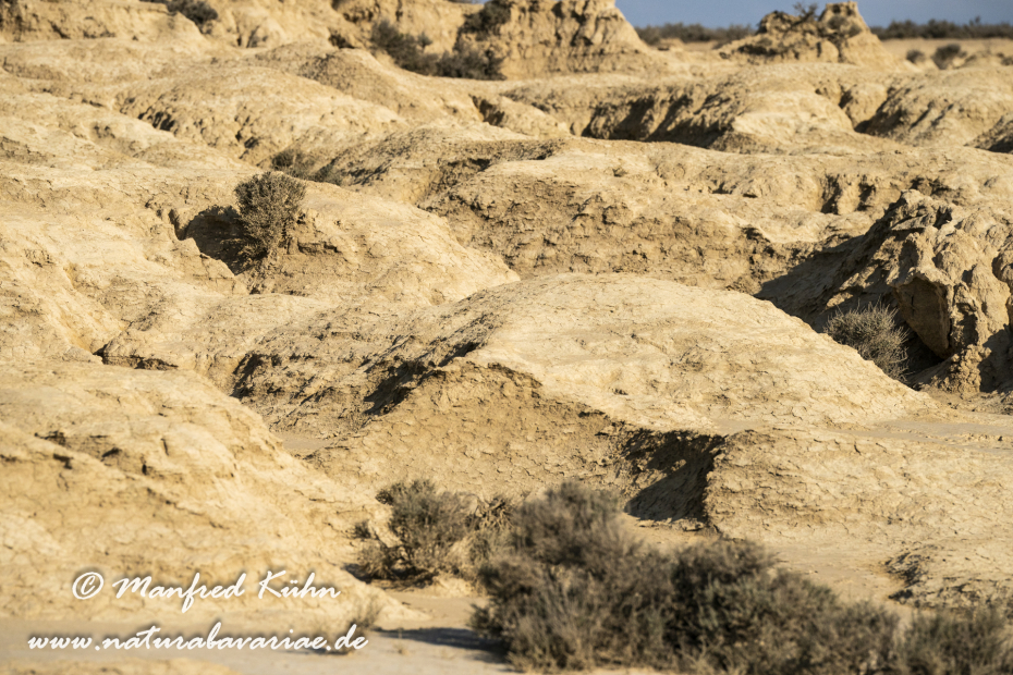 Navarra Bardenas Reales (Spanien)_0030