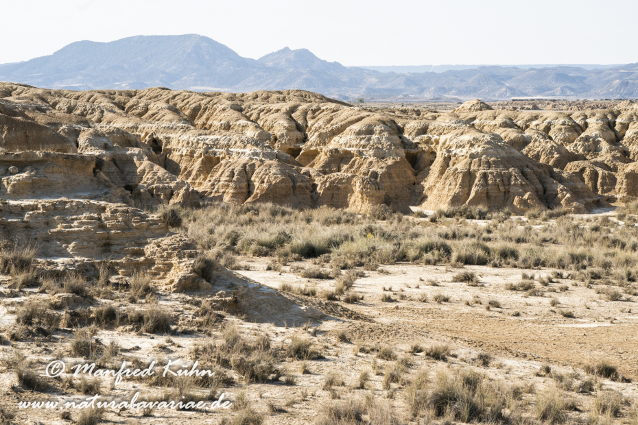 Navarra Bardenas Reales (Spanien)_0035