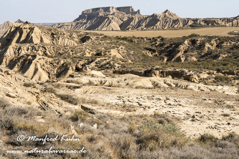 Navarra Bardenas Reales (Spanien)_0044