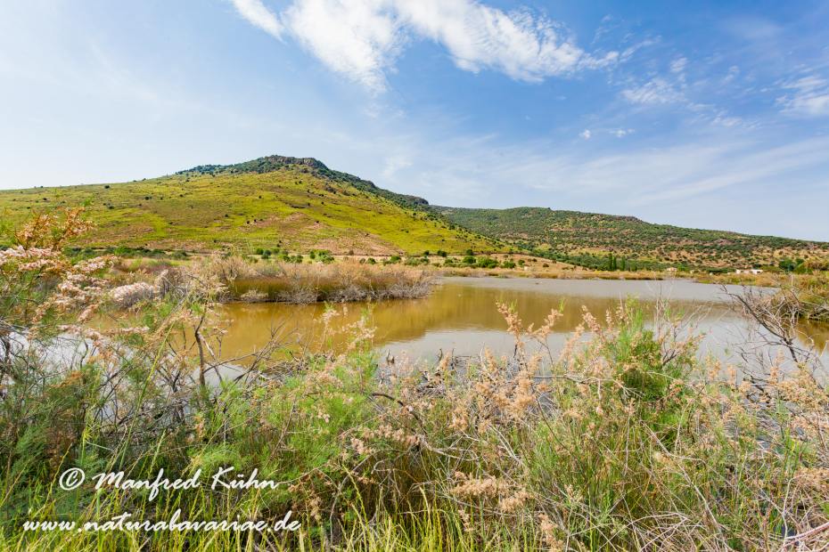Lesbos (Griechenland)_0044