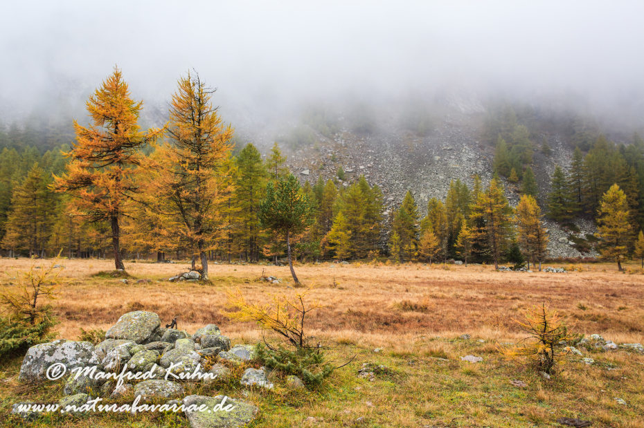 Gran Paradiso Nat-Park (IT_Aosta_Valnontey)_0105