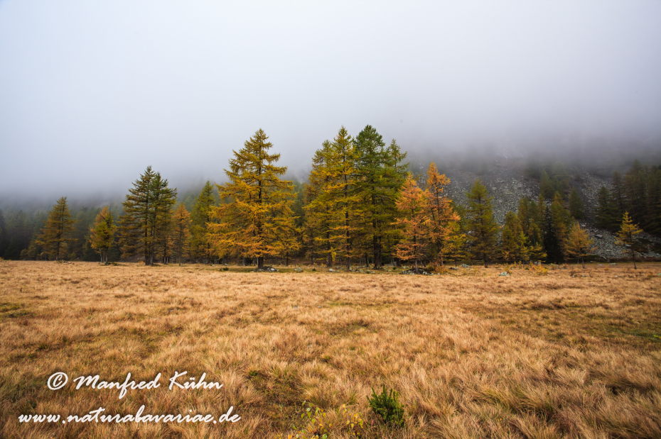 Gran Paradiso Nat-Park (IT_Aosta_Valnontey)_0107