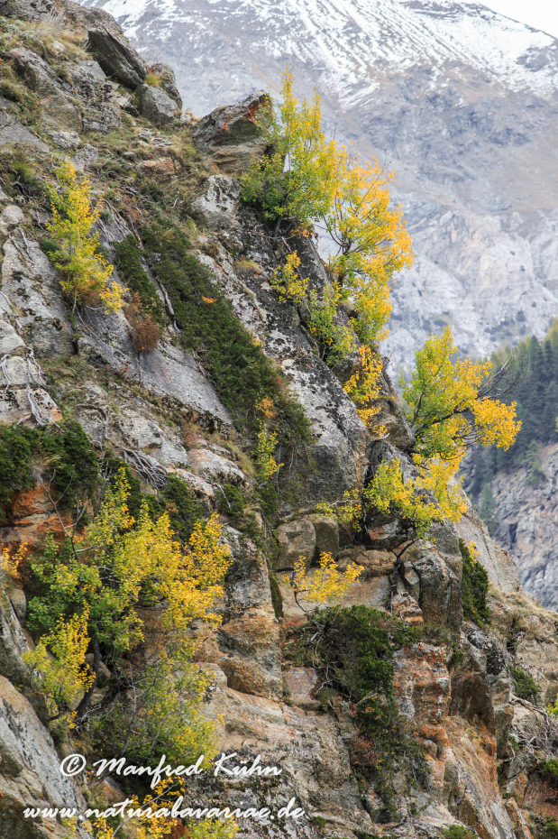 Gran Paradiso Nat-Park (IT_Aosta_Valnontey)_0187