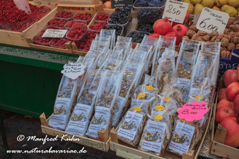 Bozen (Südtirol)_0216