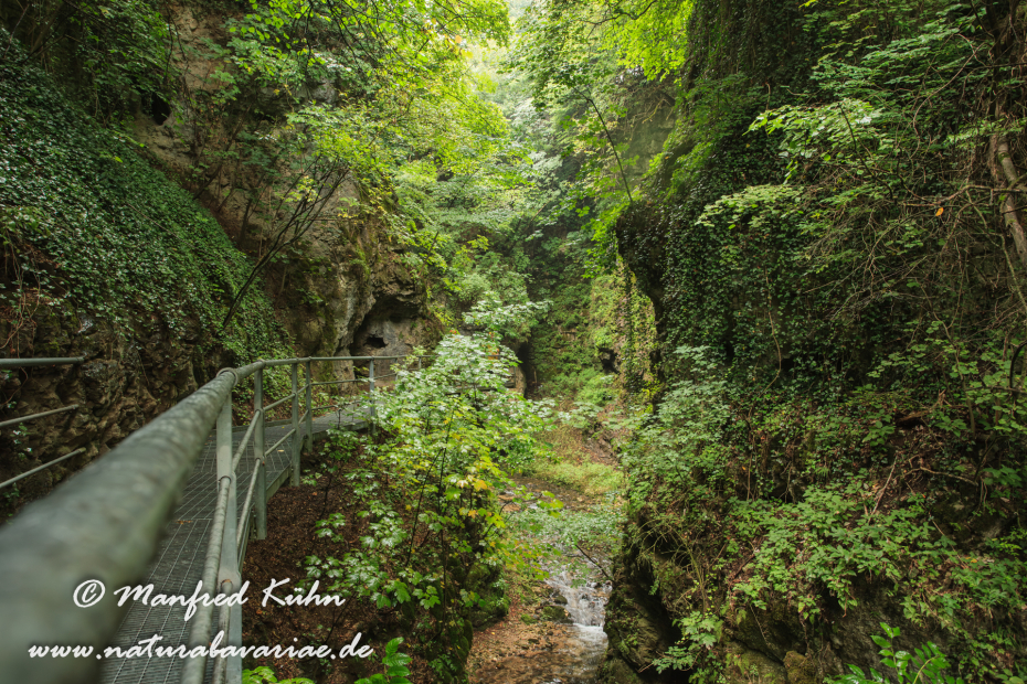 Fondo (Trentino)_0039