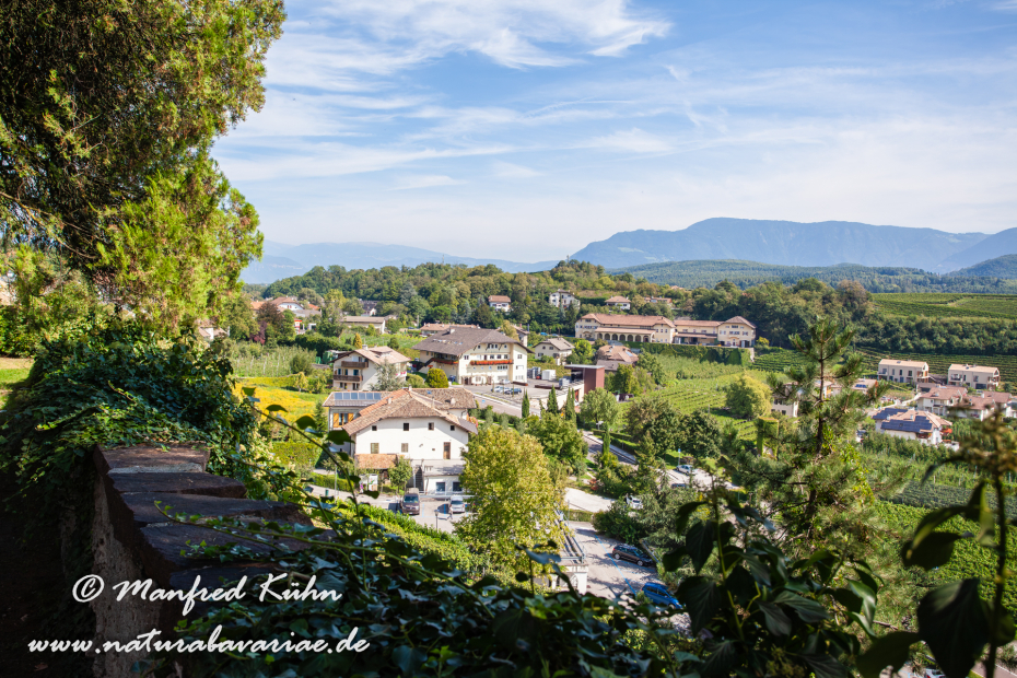 Kaltern (Südtirol)_0012