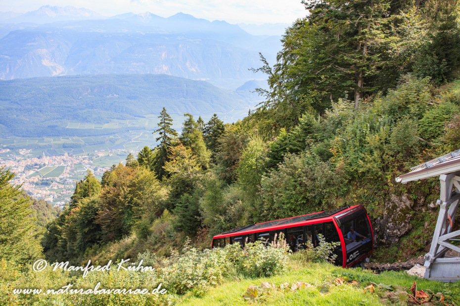 Mendelpass (Trentino)_0004