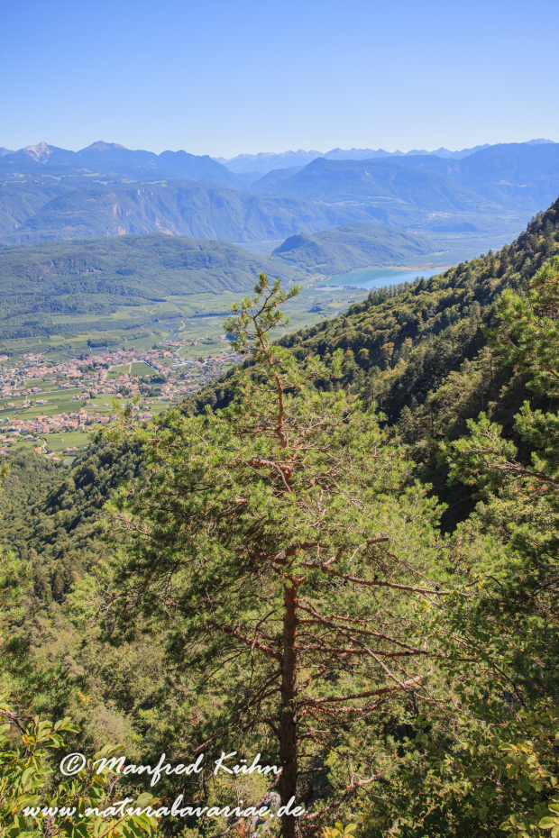 Mendelpass (Trentino)_0011