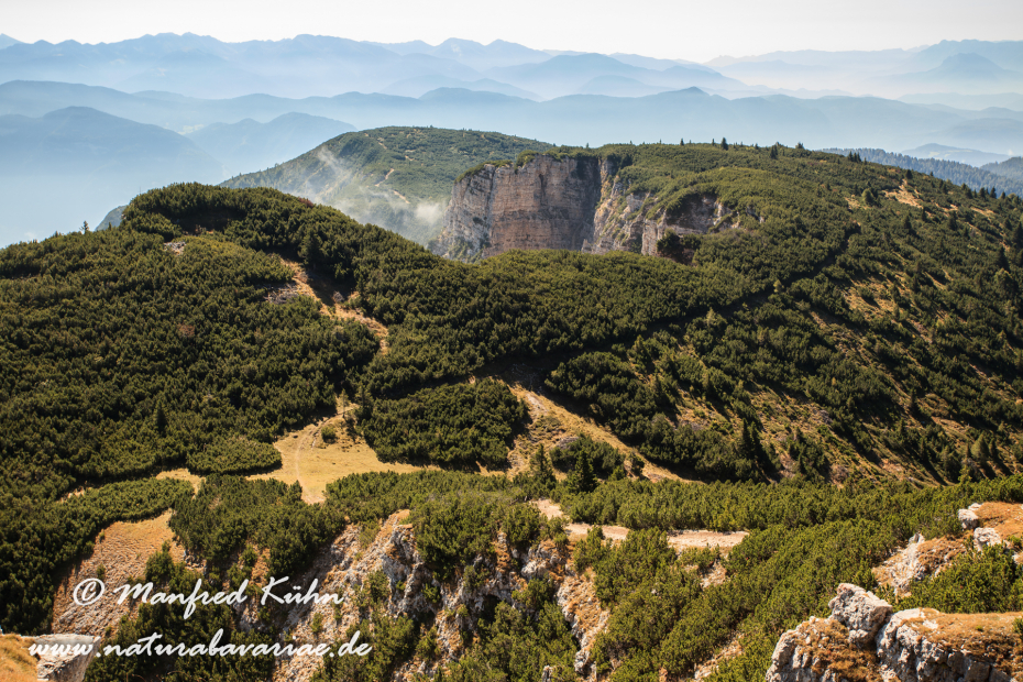 Monte Roen (Trentino)_0031