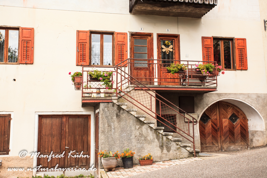 Ronzone (Trentino)_0004