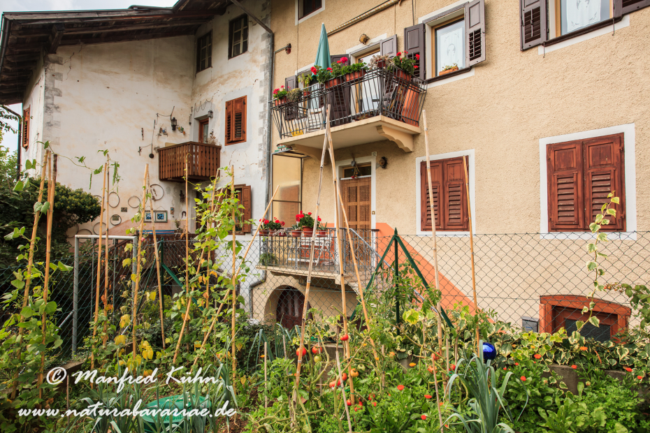 Ronzone (Trentino)_0006