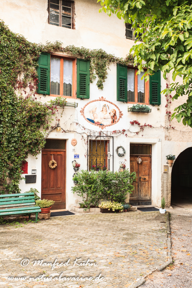 Ronzone (Trentino)_0008