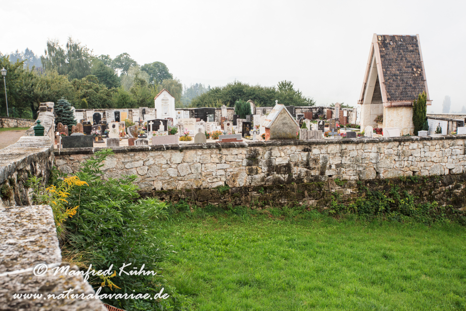 Ronzone (Trentino)_0011