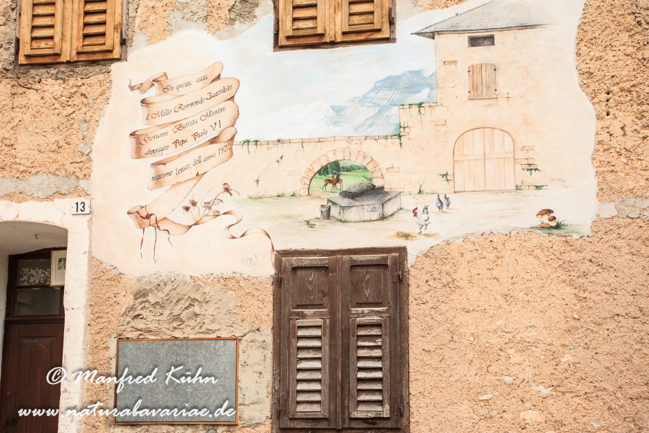 Ronzone (Trentino)_0014