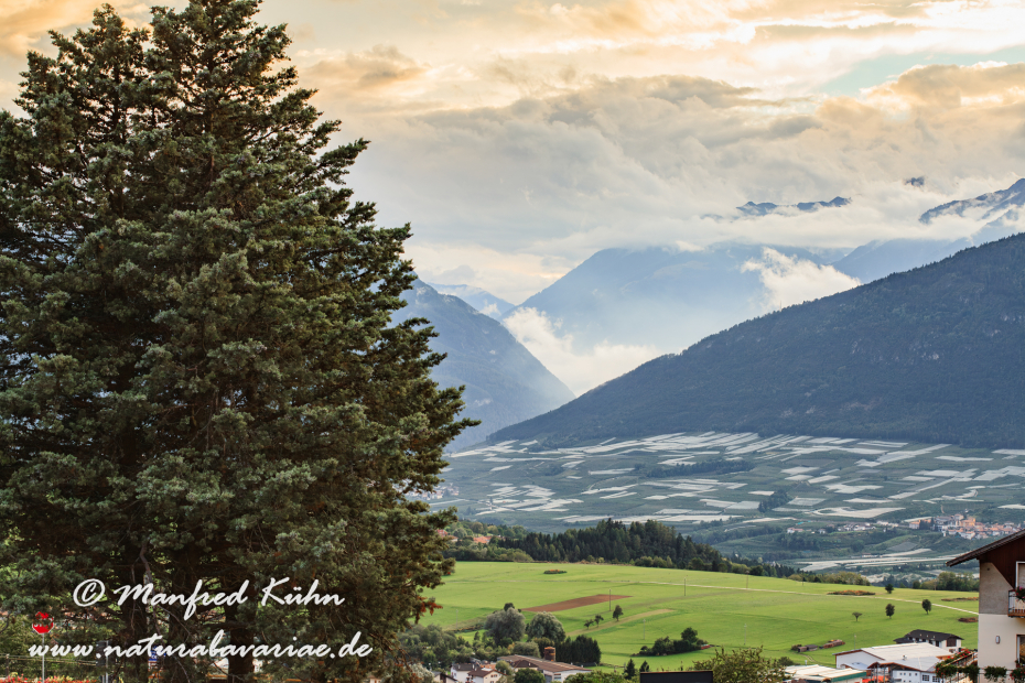 Val di Non (Trentino)_0003