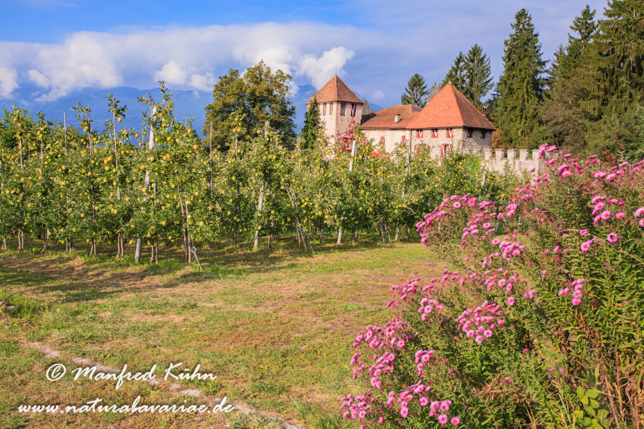 Val di Non (Trentino)_0026