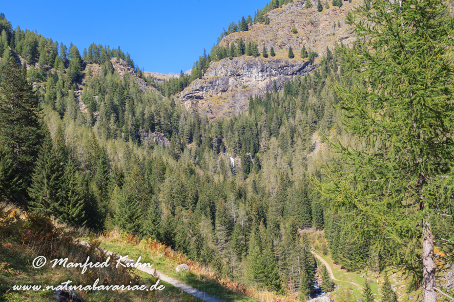 Val di Rabbi (Trentino)_0025