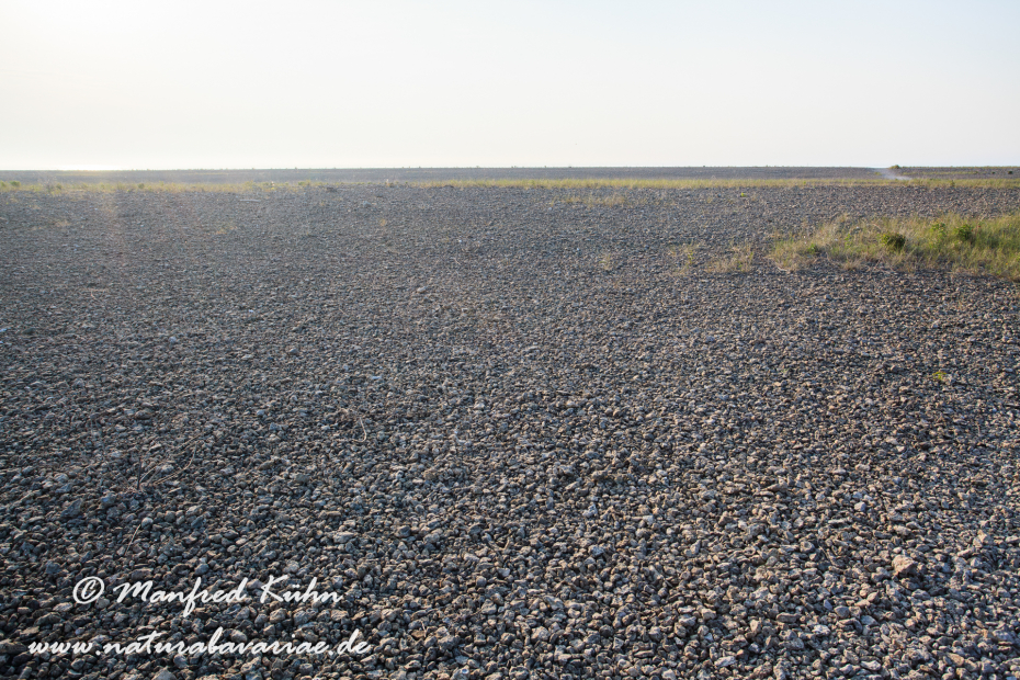 Öland  (Schweden)_0158