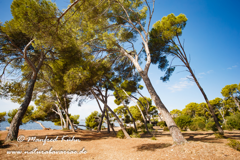 Mallorca (Spanien)_0029