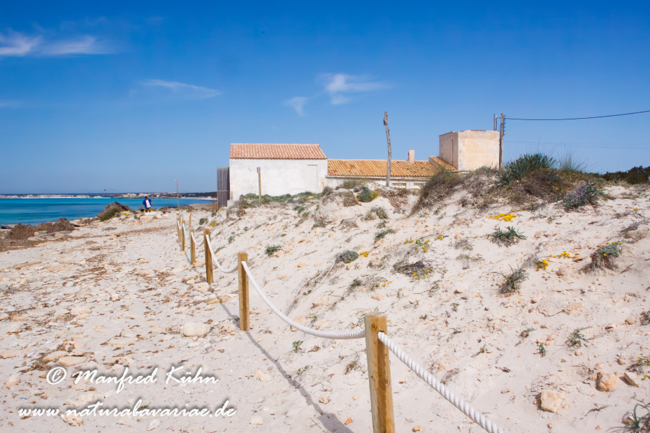 Mallorca (Spanien)_0137