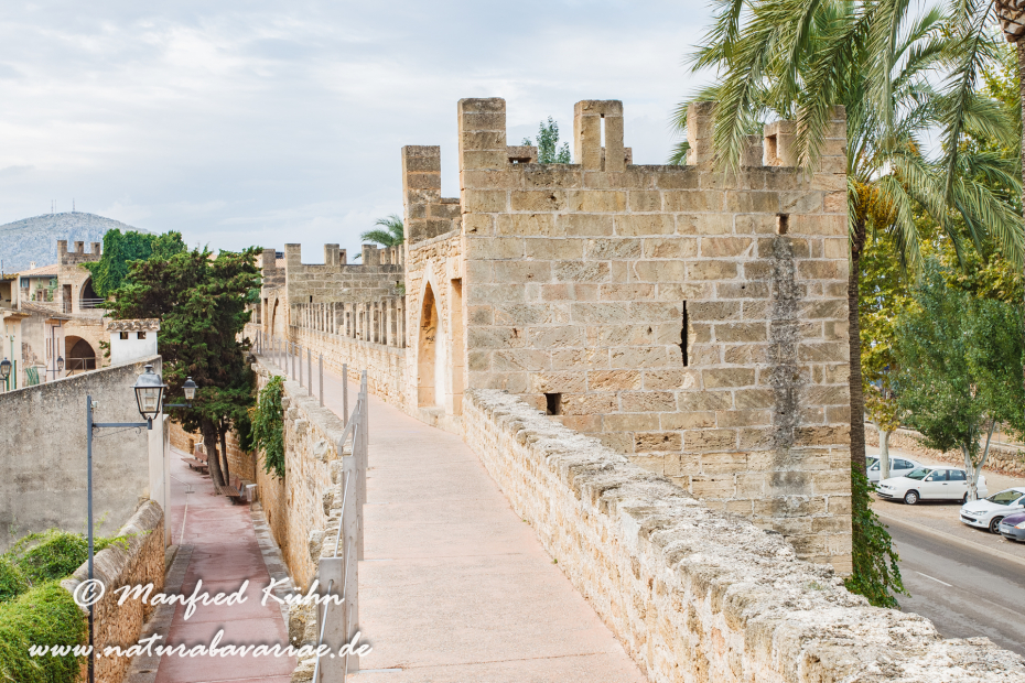 Mallorca (Spanien)_0190