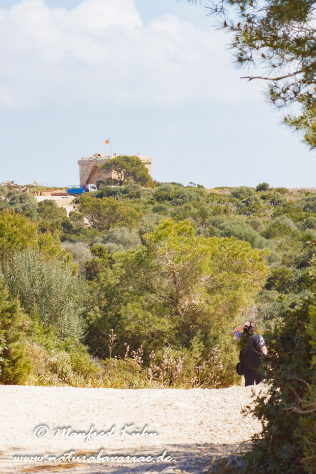 Mallorca (Spanien)_0250