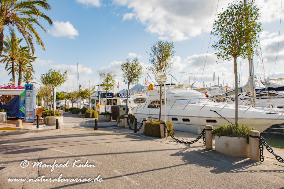 Mallorca (Spanien)_Alcudia-Jachthafen_0002