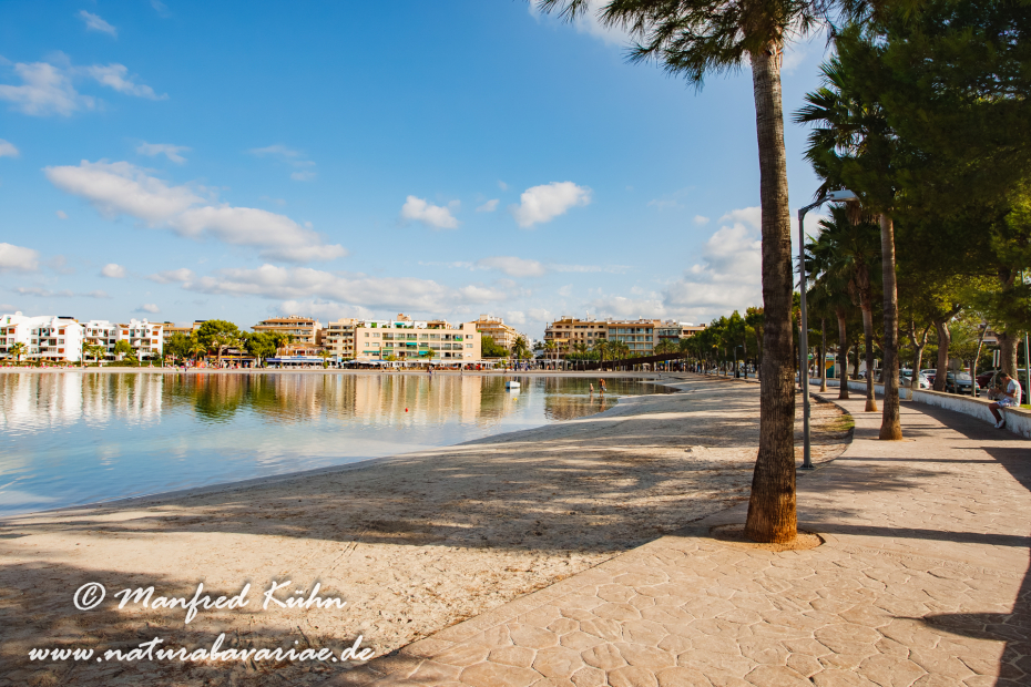 Mallorca (Spanien)_Alcudia-Jachthafen_0007